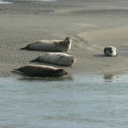 Ξενοδοχείο Logis & Restaurant 